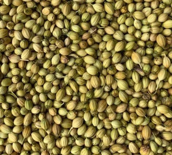 Dry Whole Coriander (Sukha Dhaniya)