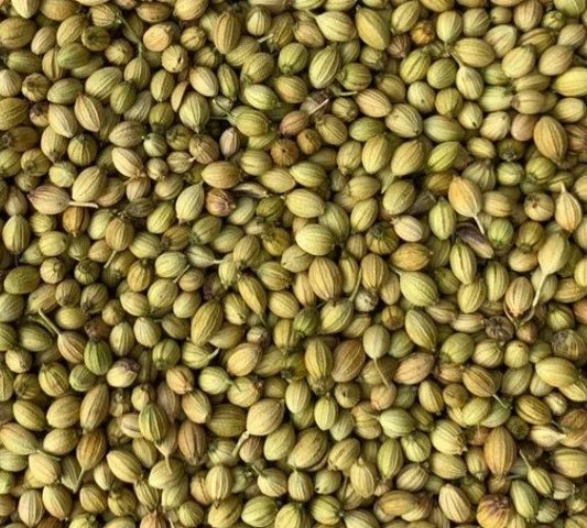 Dry Whole Coriander (Sukha Dhaniya)